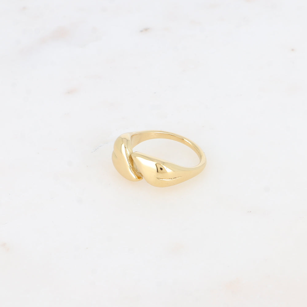 Bague ouverte - feuilles