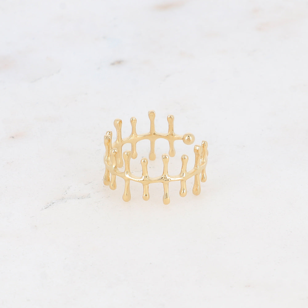 Bague en arête de poisson