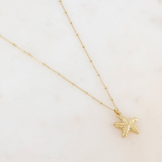 Collier avec pendentif étoile de mer (39+5CM)