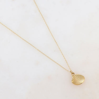 Collier avec pendentif en forme de coquillage (40+5CM)