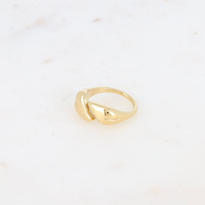 Bague ouverte - feuilles