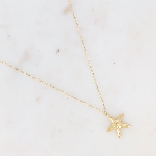 Collier avec pendentif étoile de mer effet miroir (40+5CM)