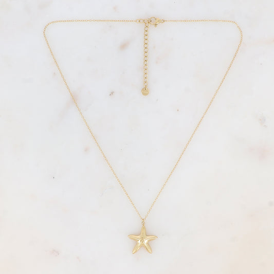 Collier avec pendentif étoile de mer effet miroir (40+5CM)