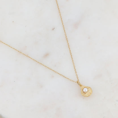 Collier avec coquillage serti d'une perle en résine effet nacré 45+5 cm