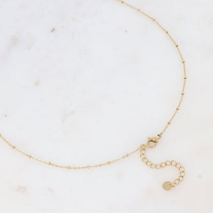 Sautoir avec coquille Saint-Jacques et perle d'eau douce (65+5CM)