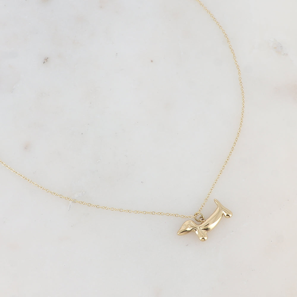 Collier - pendentif teckel 40+5 cm