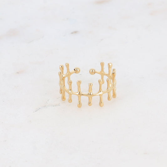 Bague en arête de poisson