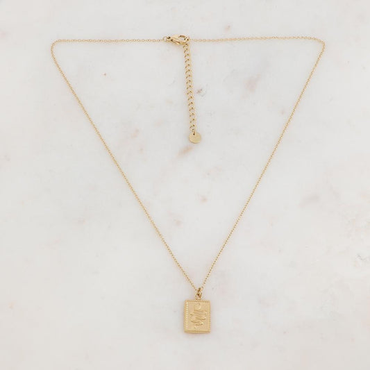 Collier avec un pendentif rectangle effet lisse et serpent gravé 41+5 cm
