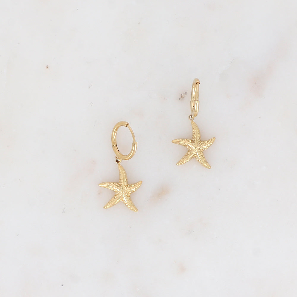 Créoles avec étoile de mer 1,4x 3,1 cm.