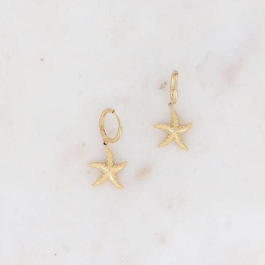 Créoles avec étoile de mer 1,4x 3,1 cm.