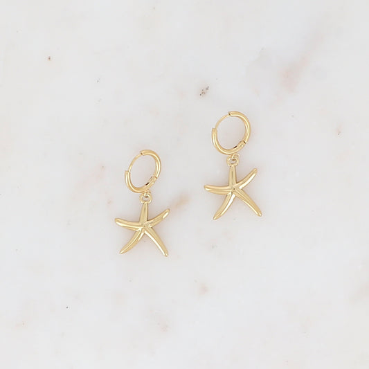Créoles avec pendentif forme étoile de mer lisse 1,55 x 3 cm